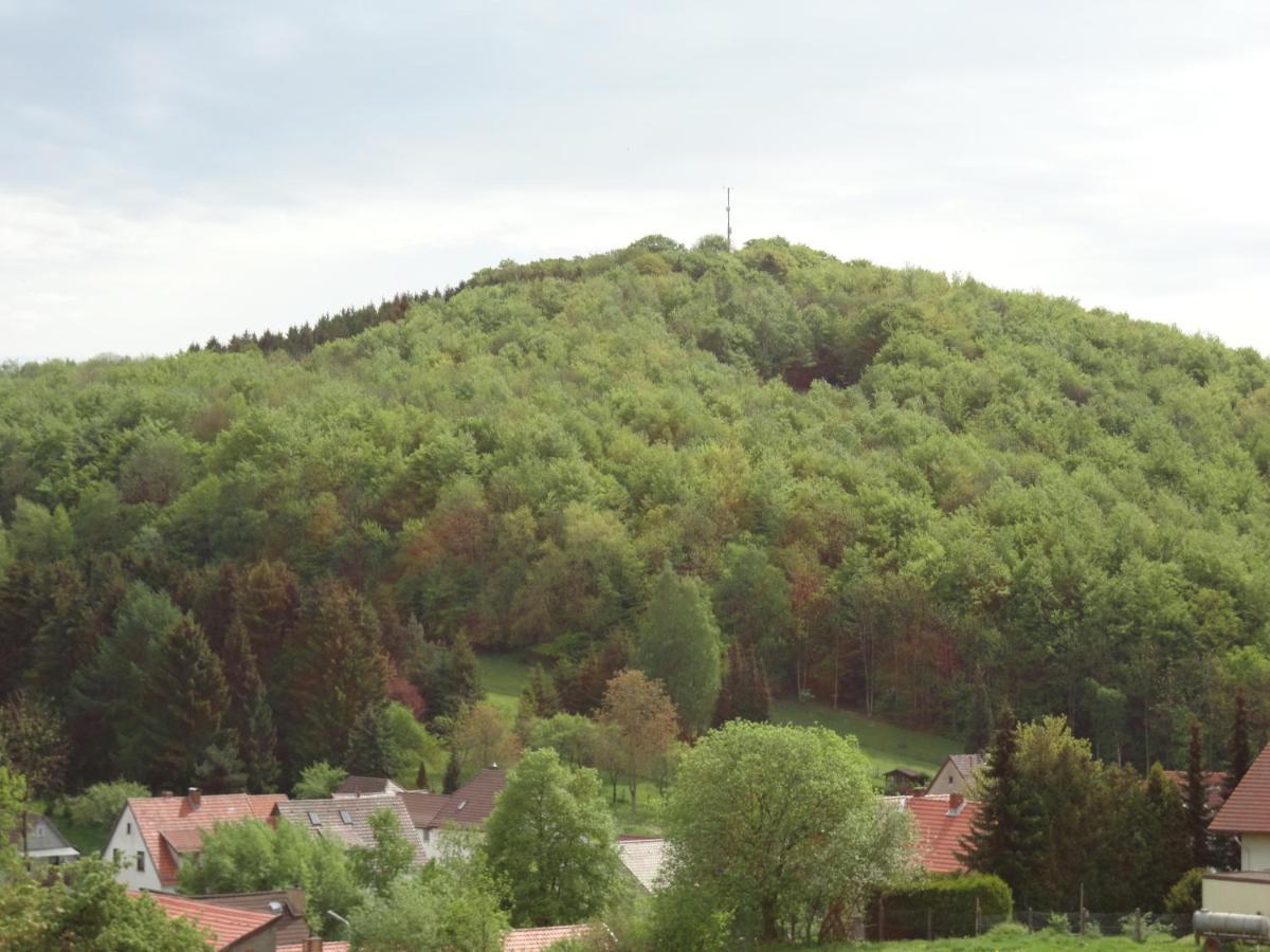 Apartamento Der Fuchsbau - Fewo Lepetit - Im Sonnigen Harz - Hunde Willkommen - 100M Bis Zum Wald - Free Wlan Bad Sachsa Exterior foto