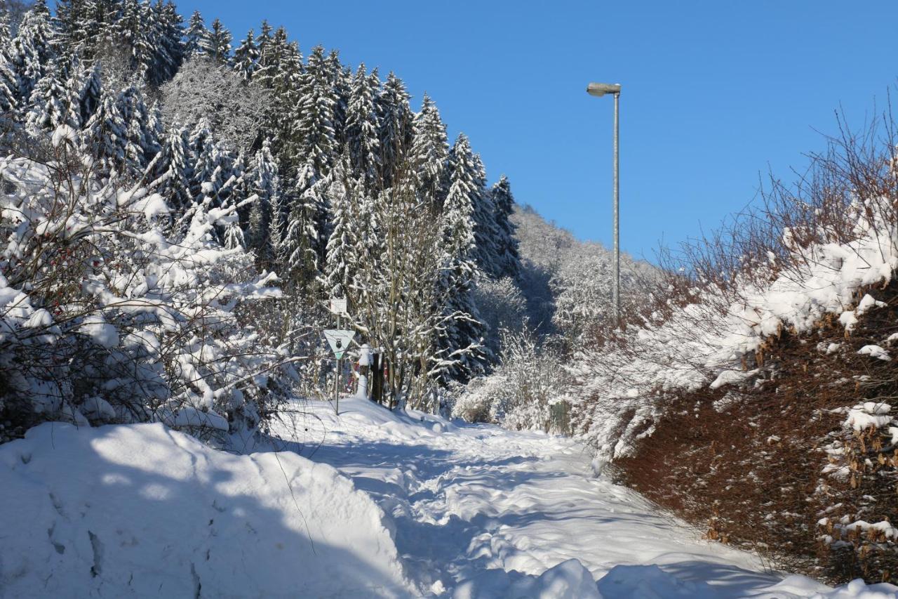 Apartamento Der Fuchsbau - Fewo Lepetit - Im Sonnigen Harz - Hunde Willkommen - 100M Bis Zum Wald - Free Wlan Bad Sachsa Exterior foto